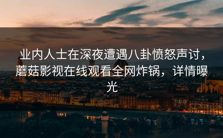 业内人士在深夜遭遇八卦愤怒声讨，蘑菇影视在线观看全网炸锅，详情曝光