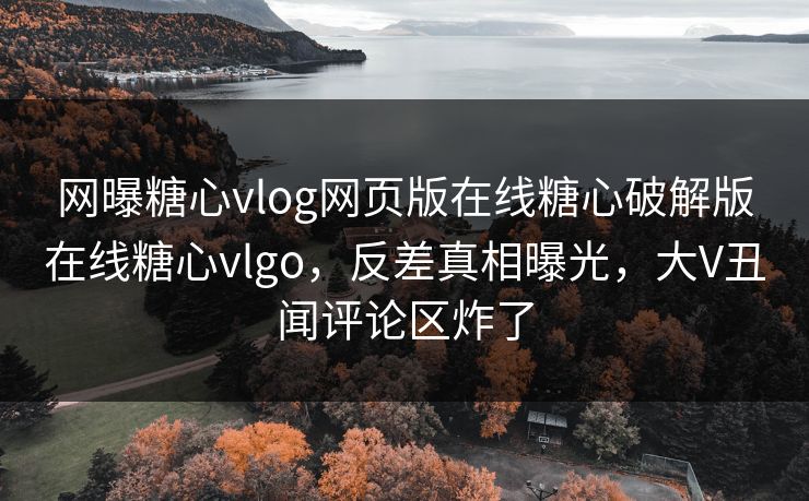 网曝糖心vlog网页版在线糖心破解版在线糖心vlgo，反差真相曝光，大V丑闻评论区炸了