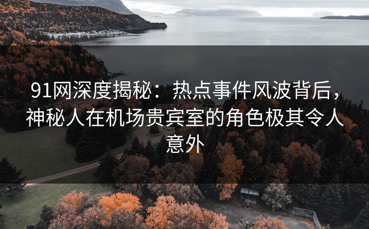 91网深度揭秘：热点事件风波背后，神秘人在机场贵宾室的角色极其令人意外