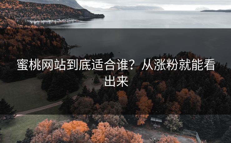 蜜桃网站到底适合谁？从涨粉就能看出来