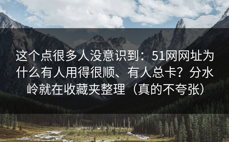 这个点很多人没意识到：51网网址为什么有人用得很顺、有人总卡？分水岭就在收藏夹整理（真的不夸张）