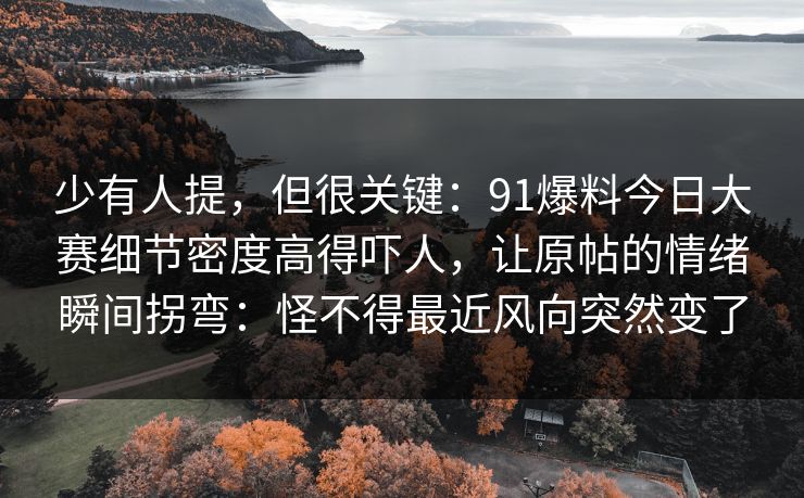 少有人提,但很关键:91爆料今日大赛细节密度高得吓人,让原帖的情绪瞬间拐弯:怪不得最近风向突然变了 少有人提,但很关键:91爆料今日大赛细节密度高得吓人,让原帖的情绪瞬间拐弯:怪不得最近风向突然变了